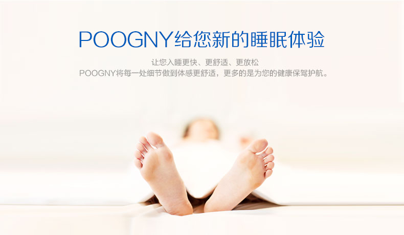
                                        POOGNY福坤禧 韩国智能水暖毯床垫 电热毯单双人加厚电褥子 PB350CLA—紫色床垫1.8*2米                
