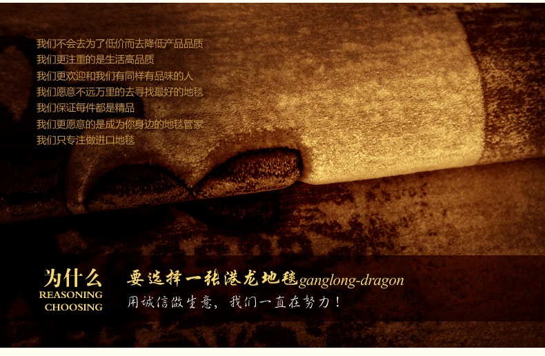 港龙地毯土耳其进口客厅地毯卧室地垫手工剪花 法斯特331C 200cm*300cm