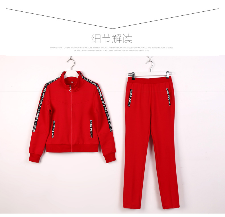 
                                        佐登驰2017秋冬装新款宽松显瘦时尚刺绣金丝绒运动休闲套装女大码卫衣套装二件套女装 图片色 L                