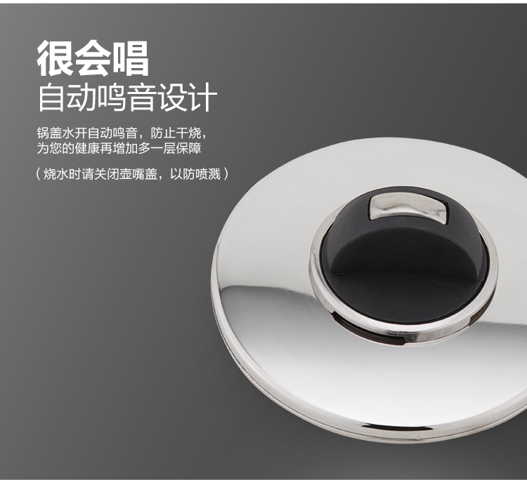 
                                                            兴财不锈钢烧水壶琴音欧式加厚材质鸣笛热水壶煤气燃气炉电磁炉通用烧水壶 4L琴音水壶                