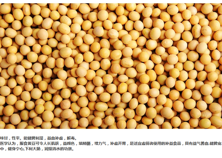 蓋亞農場 有機黃豆東北大豆 非轉基因 營養蛋白豆漿