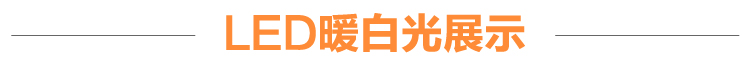 简普LED吸顶灯客厅卧室灯饰灯具Y8182 单头黑色 中号无极调光