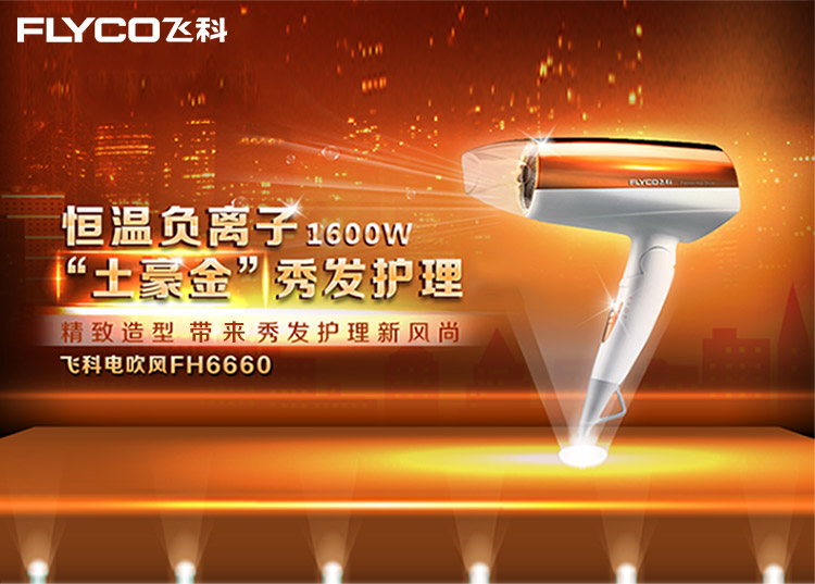 飞科(FLYCO)FH6660可折叠电吹风机 1600W负离子
