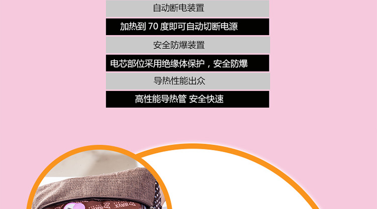 
                                        质真至美 热水袋 暖手宝袋 防爆充电暖水袋 可爱棕色候 暖宝宝 可拆洗双插手 已注水 空空                