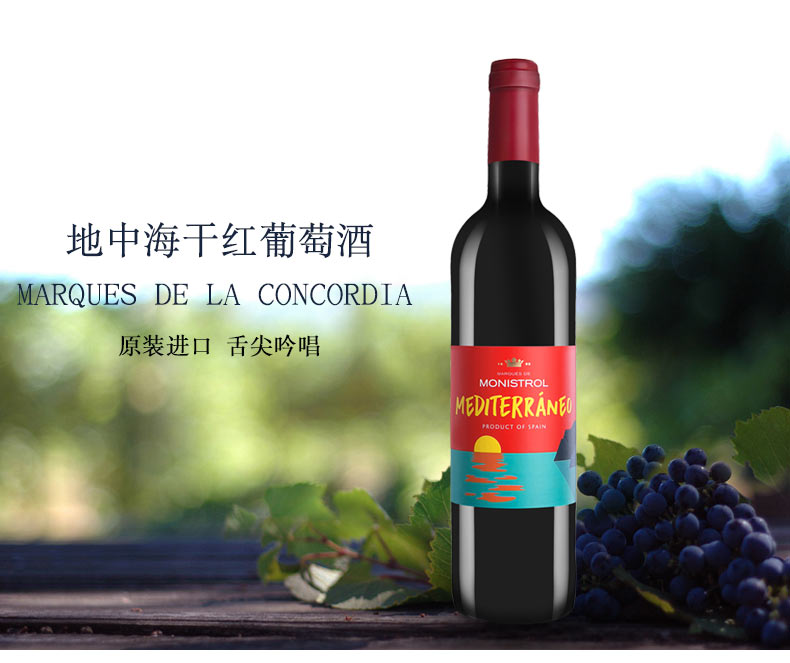 西班牙康科帝亚地中海干红葡萄酒原瓶进口欧洲直采 单支