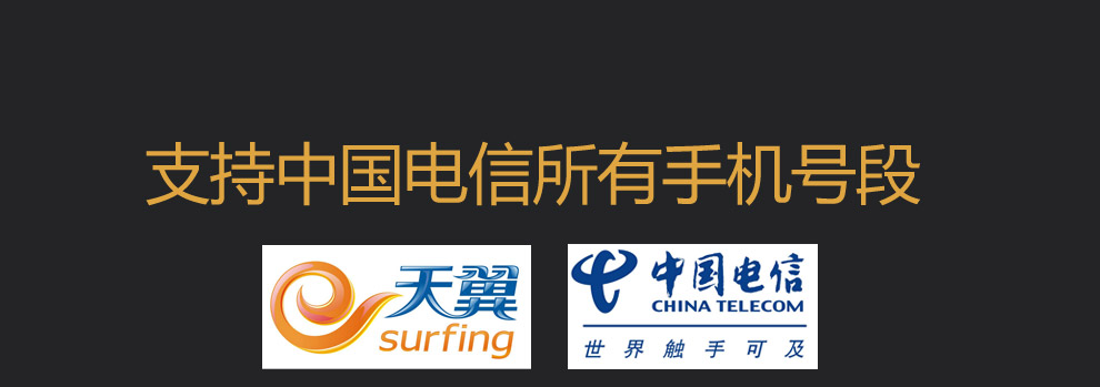 易丰（Ephone）E99- 电信2G老人手机 黑色