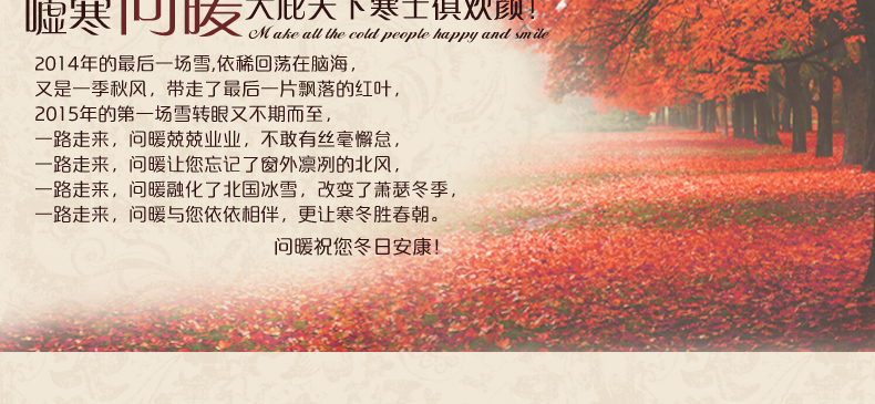 
                                                            问暖碳晶膜地暖垫 麻将桌取暖器电热地毯 2米移动地热垫 餐厅暖脚垫地暖毯 电热膜取暖垫200*200 LG7432                