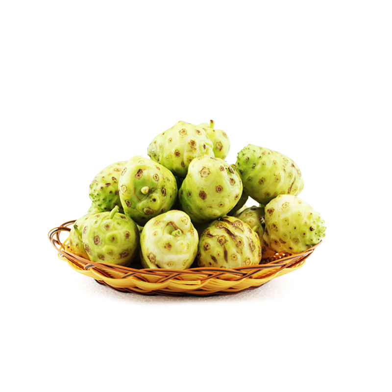 绿茵海南万州诺丽果新鲜水果诺尼果酵素果汁原料原液10kg果园现摘新鲜