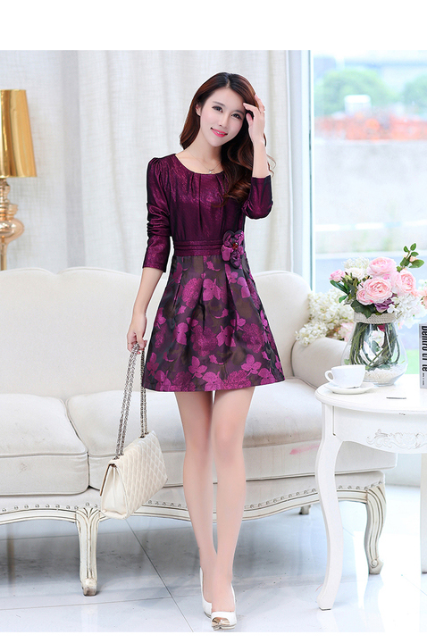 衣盟2016新款气质长袖修身印花显瘦a字裙连衣裙女8330