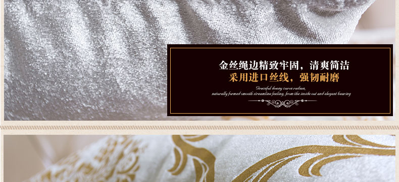 真琴 欧式沙发抱枕办公室午睡靠垫套车用靠背 丝绒压花 须须款 60*60cm靠垫含芯