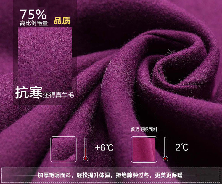 铭悦欣2015秋冬新款中长款圆领系带显瘦加厚毛呢连衣裙   0800 图片色 L