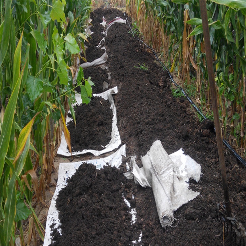 恋品惠蚯蚓活体盒装红蚯蚓种苗钓鱼垂钓龟鱼饵鲫鱼野钓小药饵料散装包