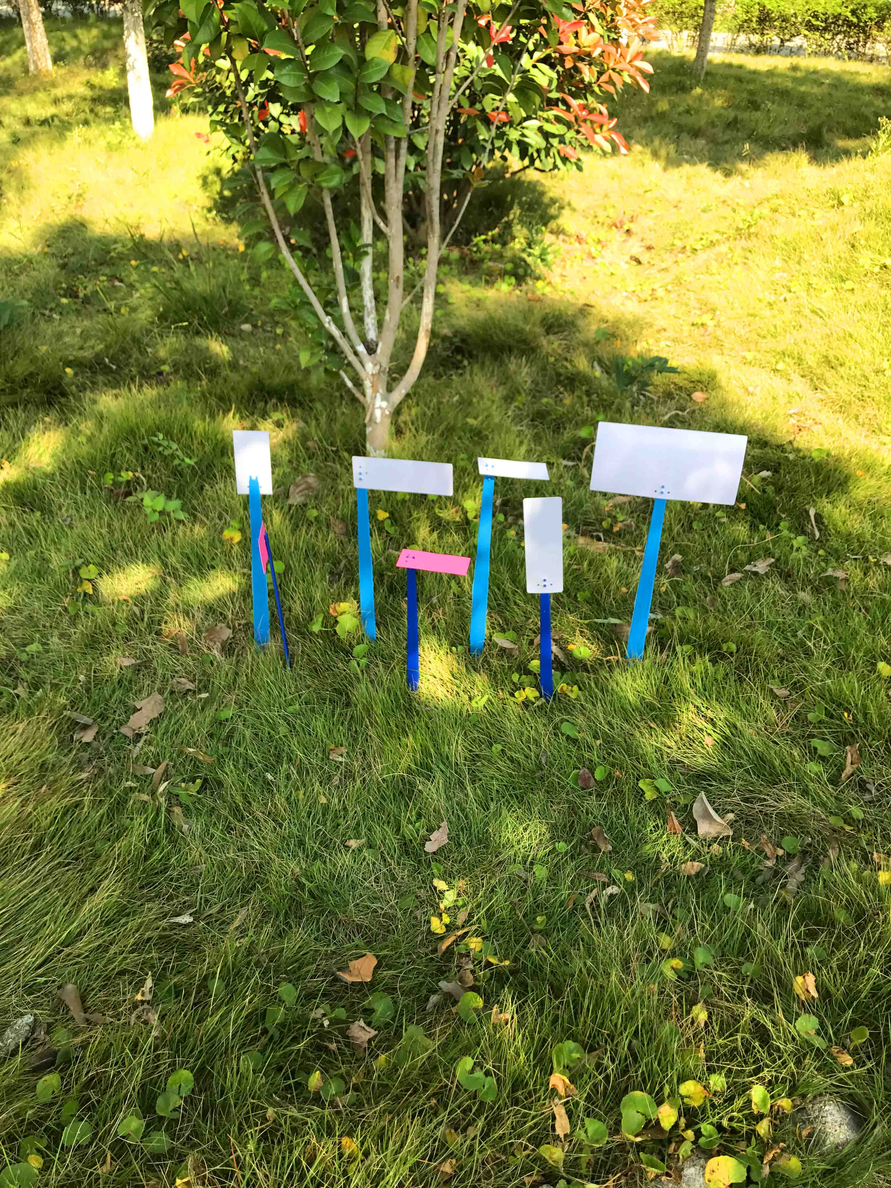 景创 卡片式自由组合插地牌园艺记号牌大号试验指示牌花卉果蔬植物插