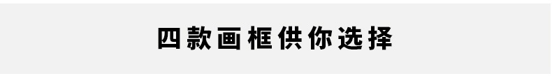 
                                        纵海艺术 现代简约装饰画 酒店卧室床头画 客厅沙发背景墙壁画 花卉长条挂画 玉兰花 拉丝银 35*150                