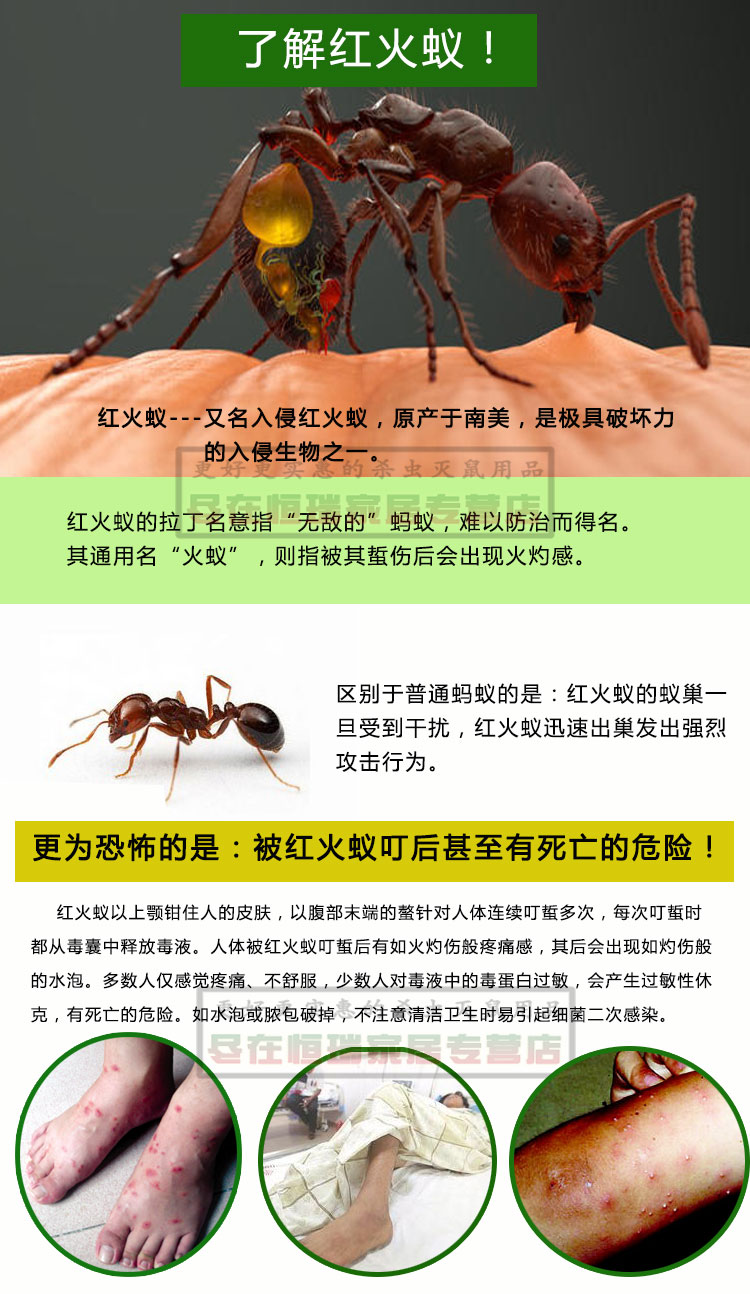 达豪杀蚁饵剂专用灭红火蚁药传染全一窝端 1袋