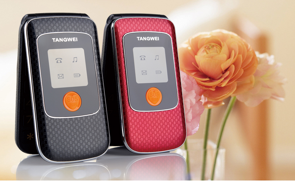 唐为（TANGWEI) TW100 GSM 移动/联通2G 老人手机 翻盖手机(双卡双待) 黑色