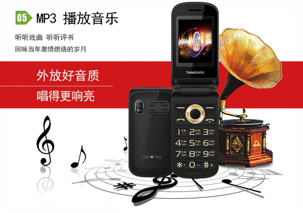唐为（TANGWEI) TW100 GSM 移动/联通2G 老人手机 翻盖手机(双卡双待) 黑色