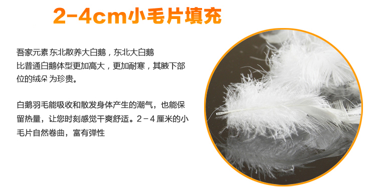 
                                        吾家元素鹅毛3公分立高羽绒靠垫芯 抱枕 沙发靠垫 腰枕 床头靠枕 白色一个装 50*50+3cm                