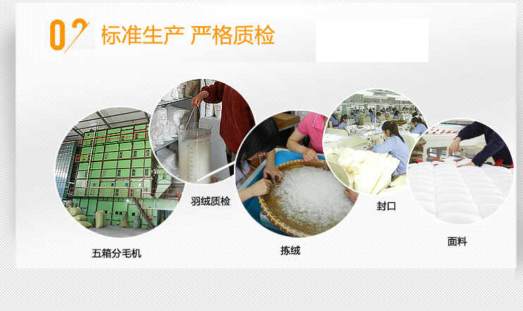 
                                        吾家元素鹅毛3公分立高羽绒靠垫芯 抱枕 沙发靠垫 腰枕 床头靠枕 白色一个装 50*50+3cm                