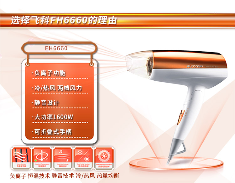 飞科(FLYCO)FH6660可折叠电吹风机 1600W负离子