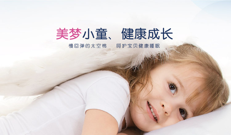 
                                                                                赛诺SINOMAX美梦小童调节枕慢回弹记忆儿童枕头双层调节枕芯保护枕 粉蓝色                