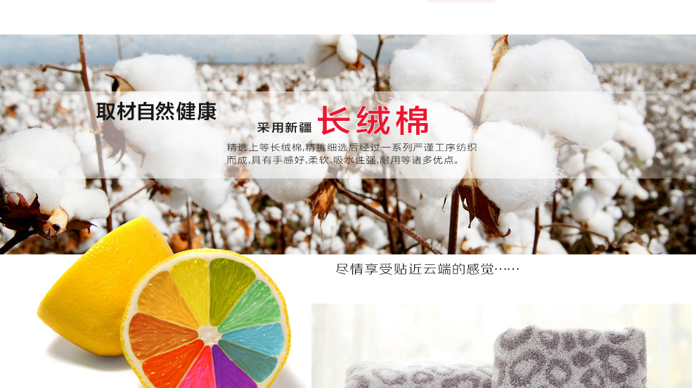 
                                        洁丽雅毛巾 毛巾纯棉 经典时尚毛巾2件套 运动毛巾 洗脸毛巾礼盒套装 企业团购精选礼品 郁金香礼盒 两件套                