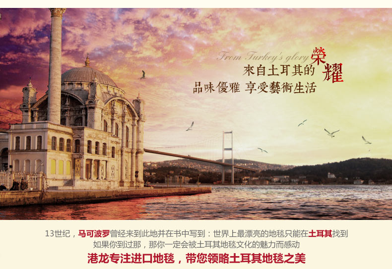 港龙地毯土耳其进口客厅地毯卧室地垫手工剪花 法斯特331C 200cm*300cm