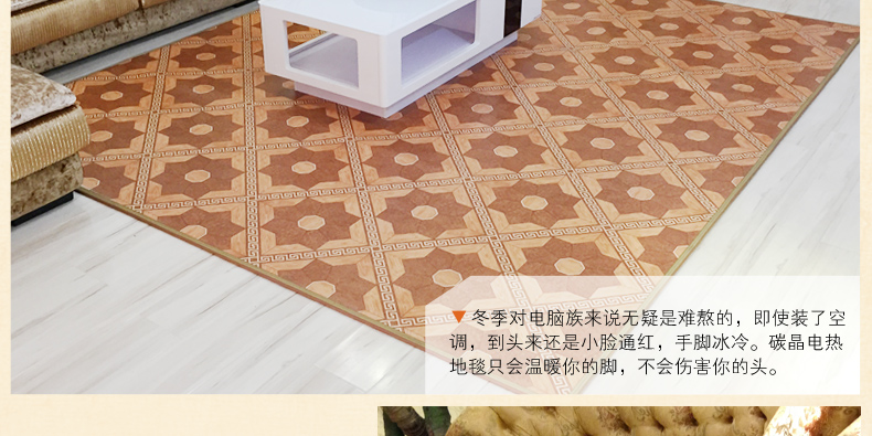 
                                        丰盈和暖碳晶电热坐垫 韩国远红外加热座垫 办公椅垫速热取暖垫 可调温节能加热垫45*45 棕色                
