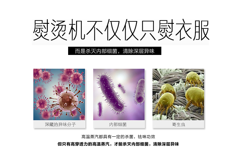 
                                                            威马（GOODWAY）家用手持挂烫机 旅行便携熨烫机迷你蒸汽电熨斗 G-682紫色                