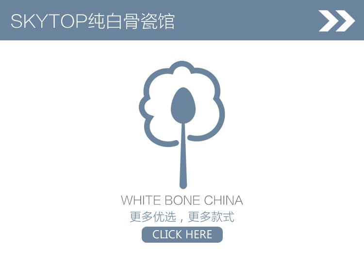 
                                        
                                                                                SKYTOP斯凯绨 餐具套装碗盘碟陶瓷骨瓷纯白28头                