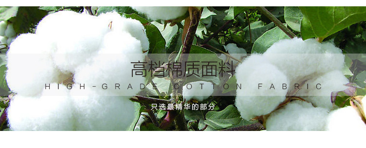 
                                        蒂莎2017新款大码外穿弹力修身高腰小脚铅笔打底裤女8887 白色 M                