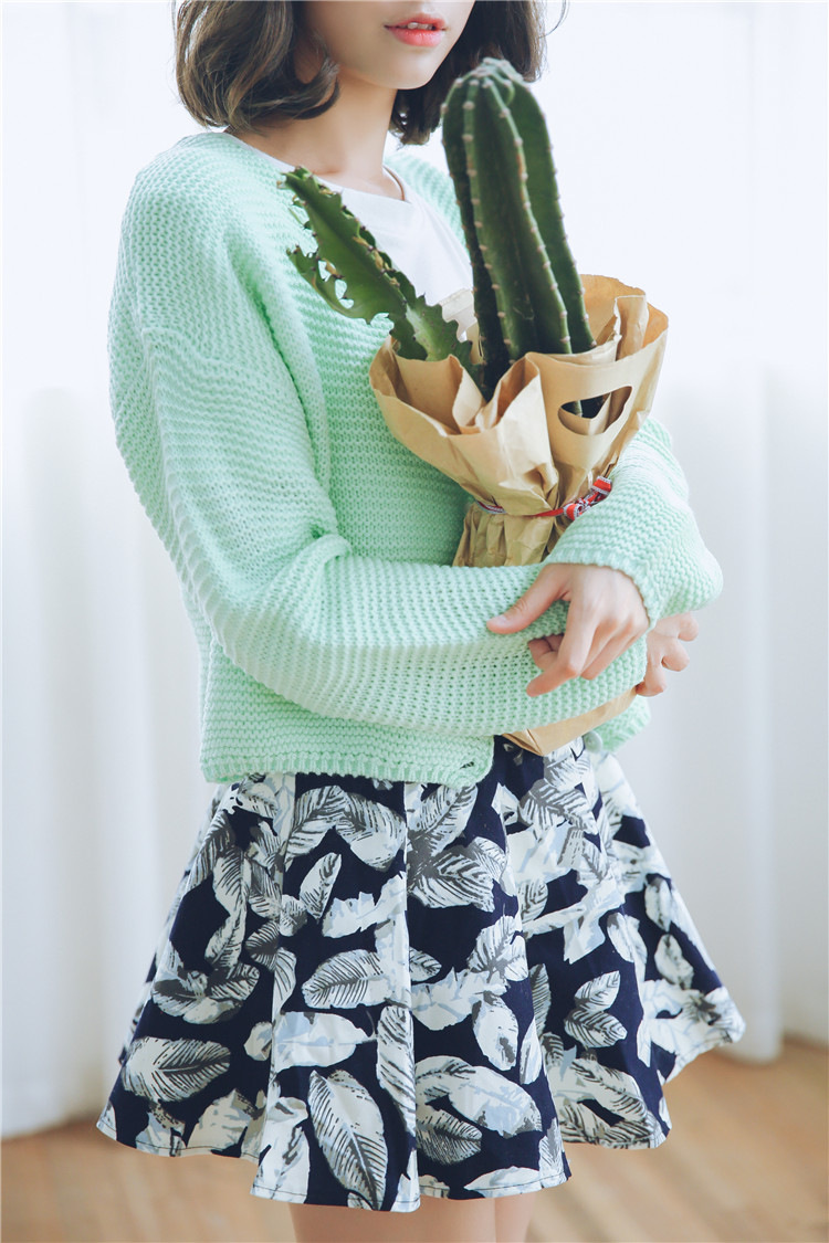 范力思 2015秋冬新款糖果色针织毛百搭开衫+印花半身短裙套装 糖果色树叶印花裙 均码