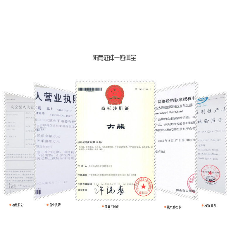 
                                        大熊 电蒸笼家用防干烧竹香电蒸锅 电蒸锅                