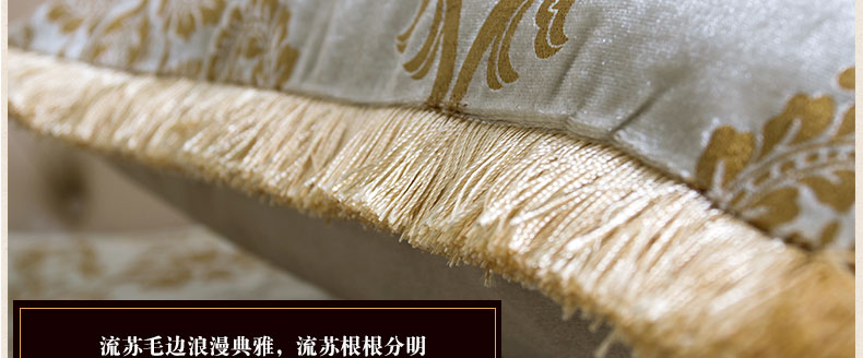 真琴 欧式沙发抱枕办公室午睡靠垫套车用靠背 丝绒压花 须须款 60*60cm靠垫含芯