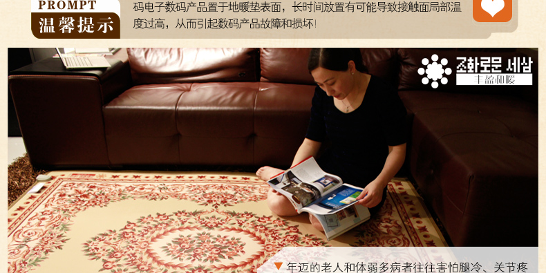 
                                        丰盈和暖碳晶电热坐垫 韩国远红外加热座垫 办公椅垫速热取暖垫 可调温节能加热垫45*45 棕色                