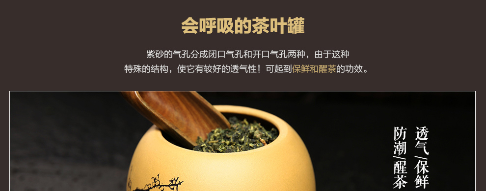 
                                                            尊壶 紫砂茶叶罐密封便携醒茶罐普洱红茶包装居家摆放大小号非陶瓷装茶罐子茶具套装配件龙旦茶叶罐 龙旦大号段泥 梅                