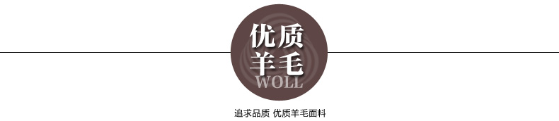 
                                        枫林梦2016秋冬新款女装OL韩版毛呢外套修身中长款大码羊毛毛呢大衣FB63 黑色 L                