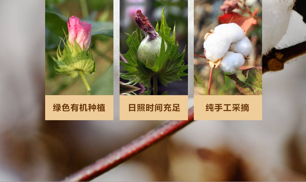 
                                                            洁丽雅Grace毛巾 可爱卡通超强加厚吸水纯棉柔软童巾4条装 红兰兰兰4条装 童巾                