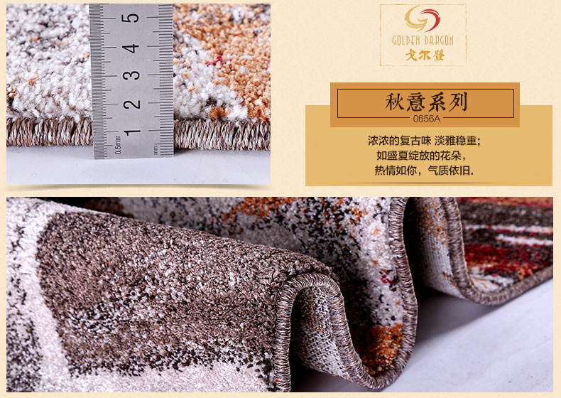 戈尔登地毯 土耳其进口 地毯客厅后现代简约 家用卧室时尚沙发茶几垫 土耳其进口0597A 240cmx330cm