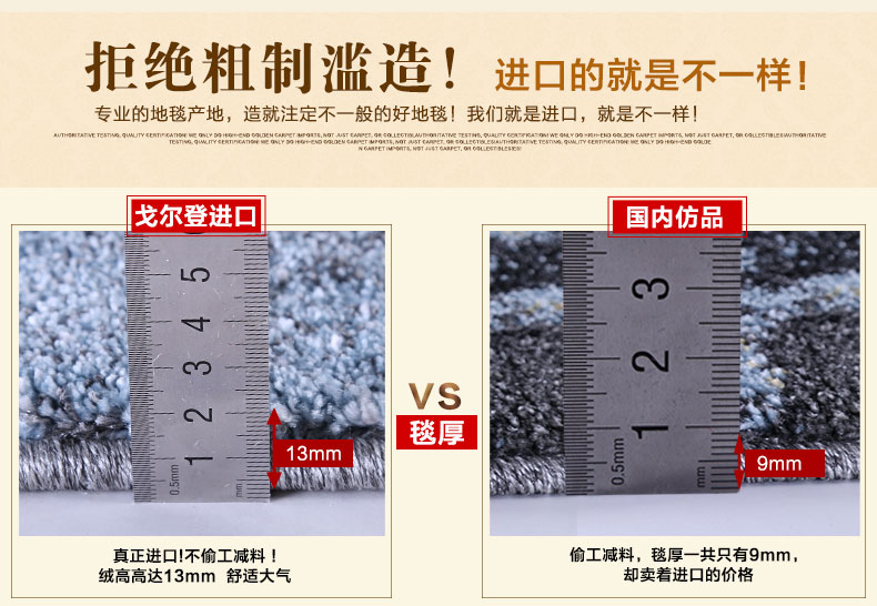 戈尔登地毯 土耳其进口 地毯客厅后现代简约 家用卧室时尚沙发茶几垫 土耳其进口0597A 240cmx330cm