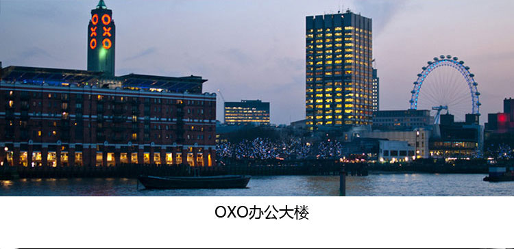 
                                        美国进口OXO奥秀花式曲奇机压饼干机 带12套饼干模具1257580                
