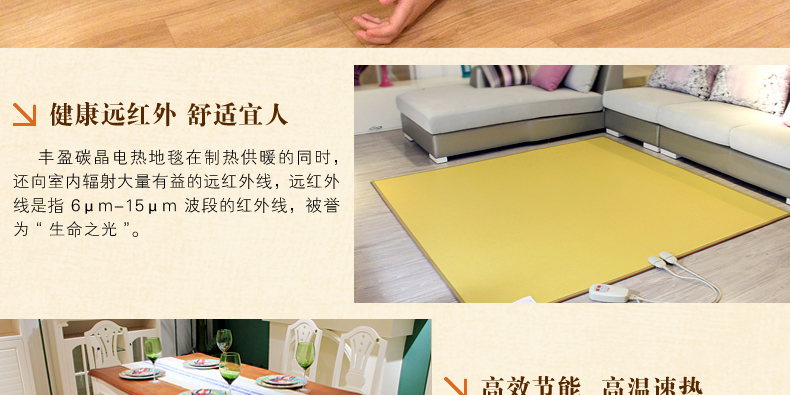 
                                        丰盈和暖碳晶电热坐垫 韩国远红外加热座垫 办公椅垫速热取暖垫 可调温节能加热垫45*45 棕色                