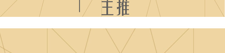 STONE司顿帅锅系列节能不锈钢微压汤锅STH035