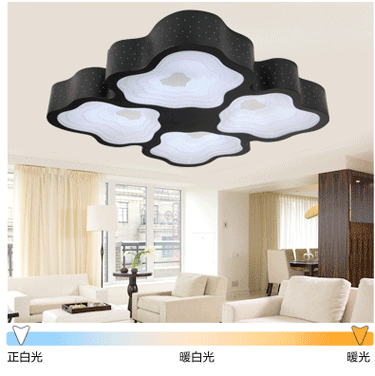 简普LED吸顶灯客厅卧室灯饰灯具Y8182 单头黑色 中号无极调光