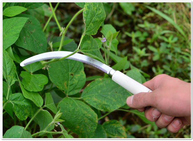 农用除草工具锯齿镰刀割草刀户外割韭菜迷你小镰刀弯刀锄草木柄套胶