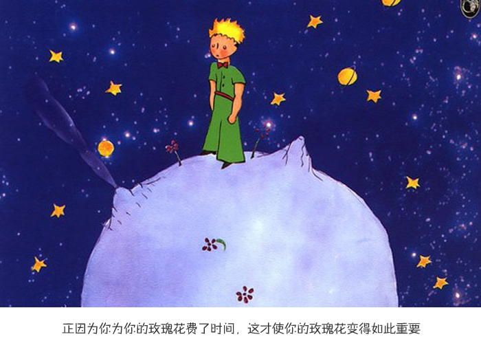 小王子的玫瑰花开口可调节浪漫爱情戒指女防过敏礼物 612星球的玫瑰花