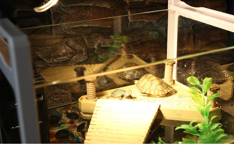 白领公社 乌龟缸 带晒台鳄龟缸生态鱼缸鱼龟混养缸水族箱玻璃别墅水缸