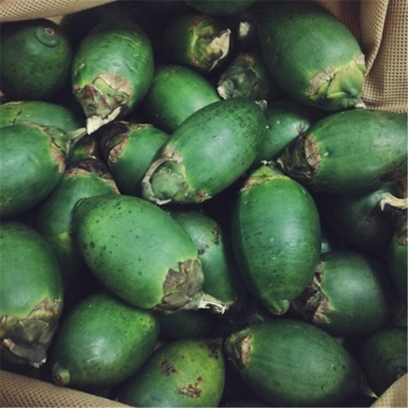 生槟榔 水果槟榔果 500g 青生青果 青槟榔果 单独槟榔(不带配料)