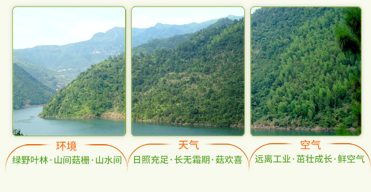 //img10.360buyimg.com/imgzone/jfs/t26296/328/1908248310/136192/4136dddf/5bf28076Nb947cf07.jpg