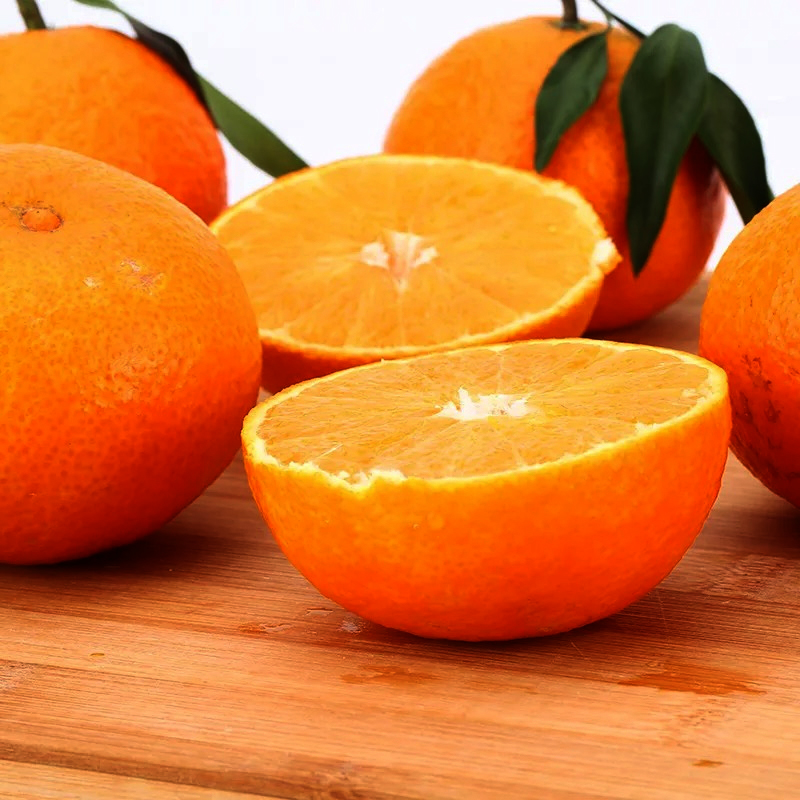 象山红美人柑橘 红美人蜜桔 肉嫩多汁 薄皮甜新鲜水果蜜桔 高档柑橘